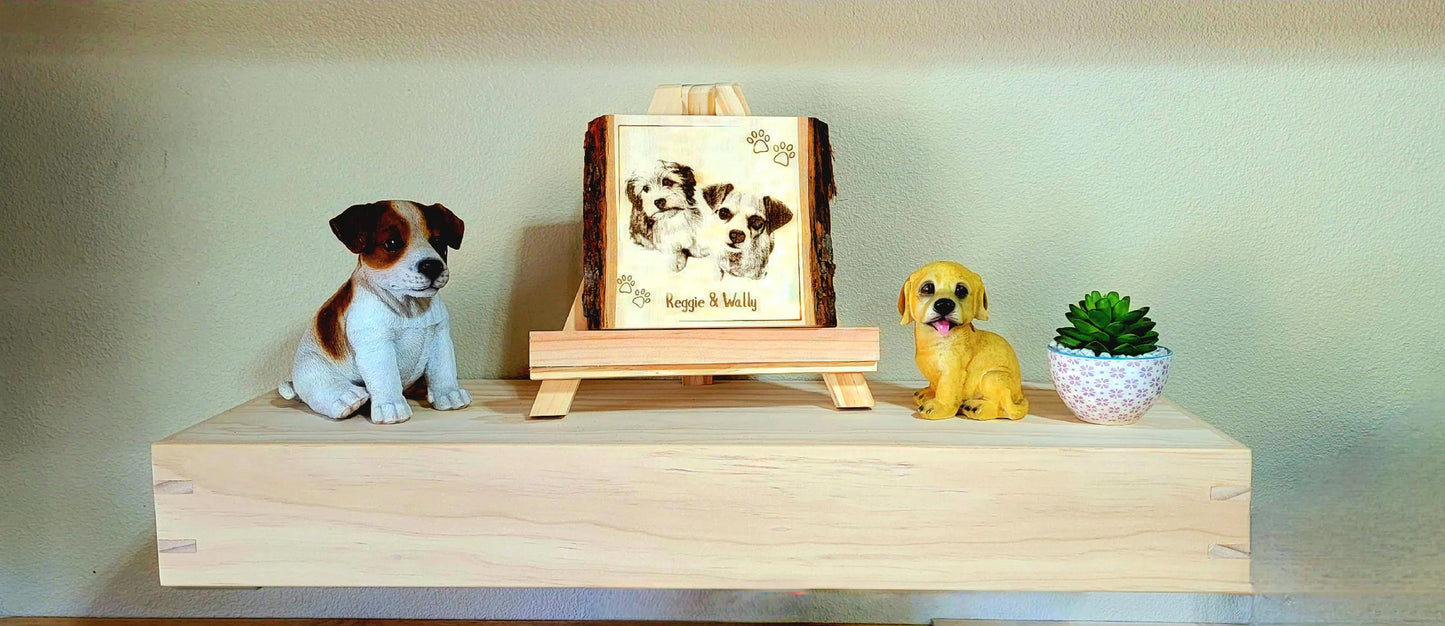 Concealment Floating Shelf, Wall Shelf with Secret Compartment